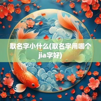 取名字小什么(取名字用哪个jia字好)