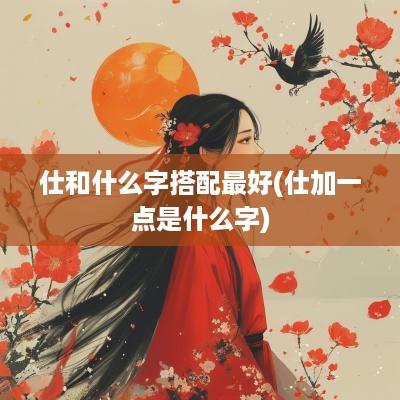 仕和什么字搭配最好(仕加一点是什么字)