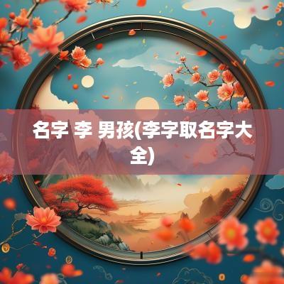 名字 李 男孩(李字取名字大全)