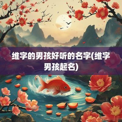 维字的男孩好听的名字(维字男孩起名)