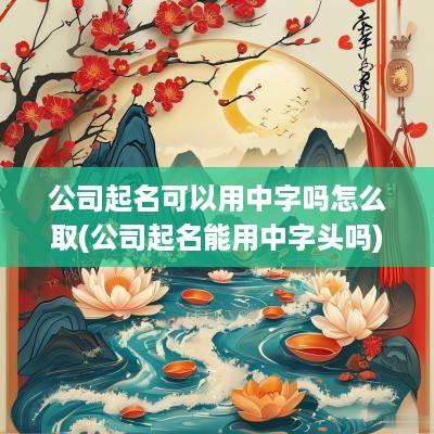 公司起名可以用中字吗怎么取(公司起名能用中字头吗)
