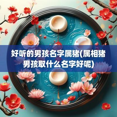 好听的男孩名字属猪(属相猪男孩取什么名字好呢)