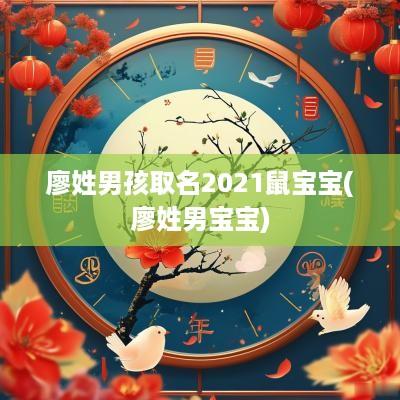 廖姓男孩取名2025鼠宝宝(廖姓男宝宝)