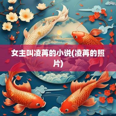 女主叫凌苒的小说(凌苒的照片)
