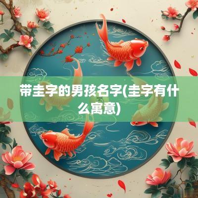 带圭字的男孩名字(圭字有什么寓意)