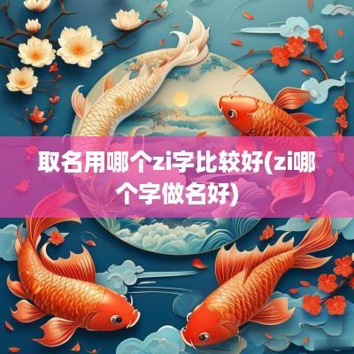 取名用哪个zi字比较好(zi哪个字做名好)