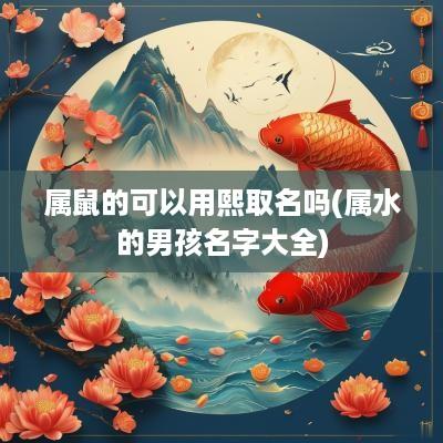 属鼠的可以用熙取名吗(属水的男孩名字大全)