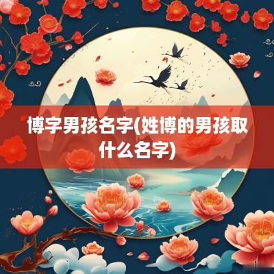 博字男孩名字(姓博的男孩取什么名字)