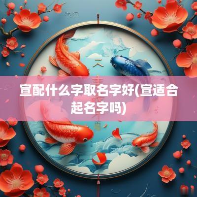 宣配什么字取名字好(宣适合起名字吗)