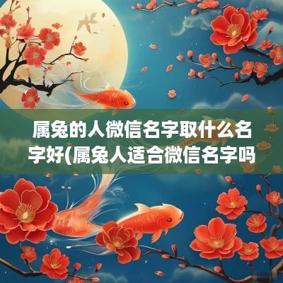 属兔的人微信名字取什么名字好(属兔人适合微信名字吗女生两个字)
