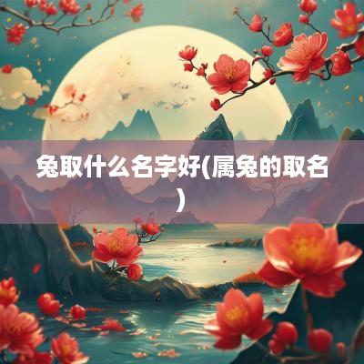 兔取什么名字好(属兔的取名)