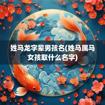 姓马龙字辈男孩名(姓马属马女孩取什么名字)