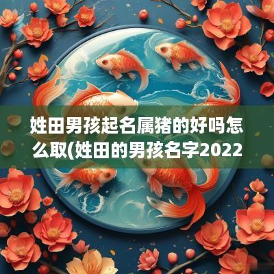 姓田男孩起名属猪的好吗怎么取(姓田的男孩名字2025属虎)