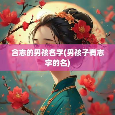含志的男孩名字(男孩子有志字的名)