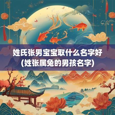 姓氏张男宝宝取什么名字好(姓张属兔的男孩名字)