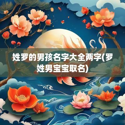 姓罗的男孩名字大全两字(罗姓男宝宝取名)