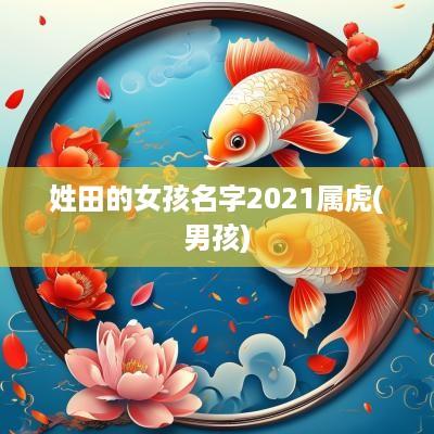 姓田的女孩名字2025属虎(男孩)