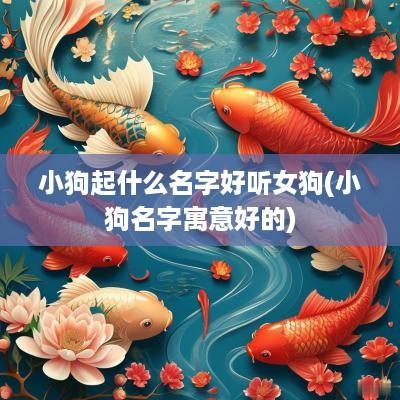 小狗起什么名字好听女狗(小狗名字寓意好的)