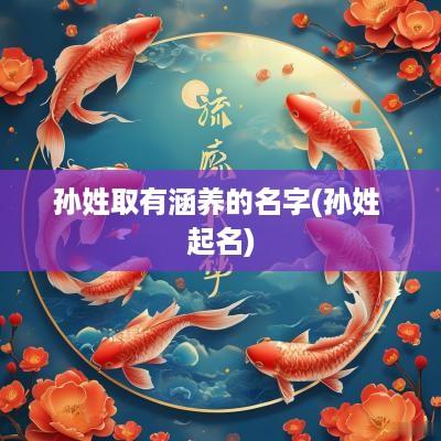 孙姓取有涵养的名字(孙姓 起名)