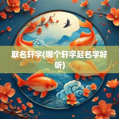 取名轩字(哪个轩字起名字好听)