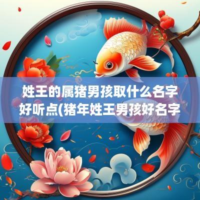 姓王的属猪男孩取什么名字好听点(猪年姓王男孩好名字)