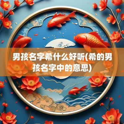 男孩名字希什么好听(希的男孩名字中的意思)