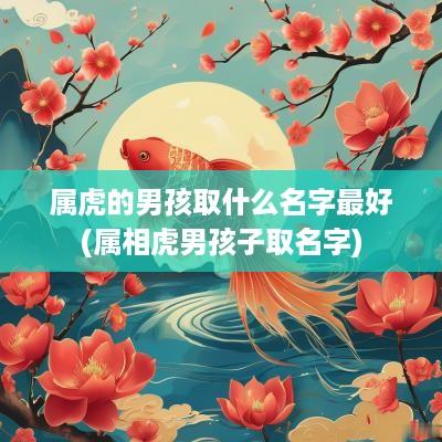 属虎的男孩取什么名字最好(属相虎男孩子取名字)