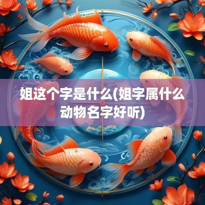 姐这个字是什么(姐字属什么动物名字好听)