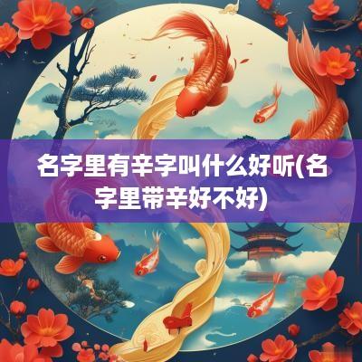 名字里有辛字叫什么好听(名字里带辛好不好)
