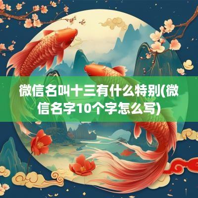 微信名叫十三有什么特别(微信名字10个字怎么写)