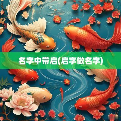 名字中带启(启字做名字)