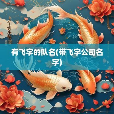 有飞字的队名(带飞字公司名字)