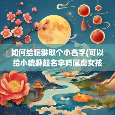 如何给貔貅取个小名字(可以给小貔貅起名字吗属虎女孩)