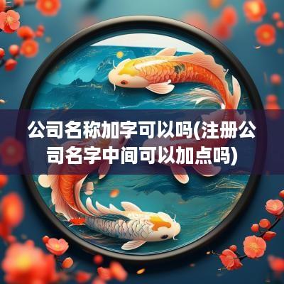 公司名称加字可以吗(注册公司名字中间可以加点吗)