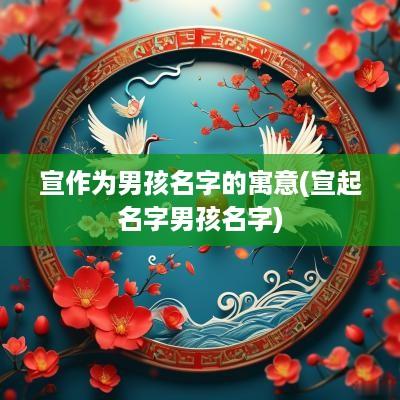 宣作为男孩名字的寓意(宣起名字男孩名字)