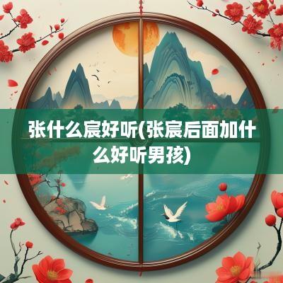 张什么宸好听(张宸后面加什么好听男孩)