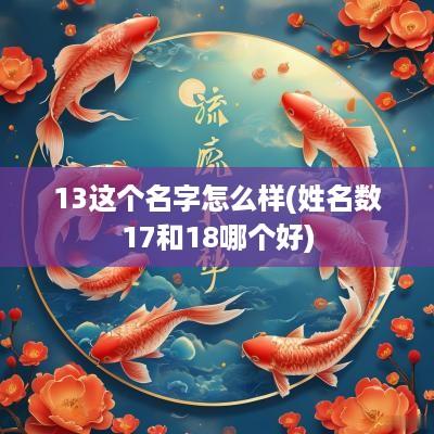 13这个名字怎么样(姓名数17和18哪个好)