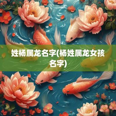 姓杨属龙名字(杨姓属龙女孩名字)
