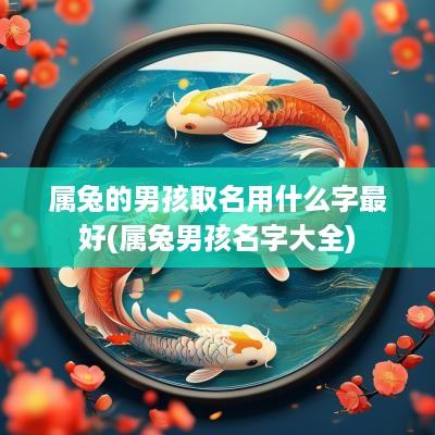 属兔的男孩取名用什么字最好(属兔男孩名字大全)