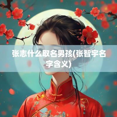 张志什么取名男孩(张智宇名字含义)