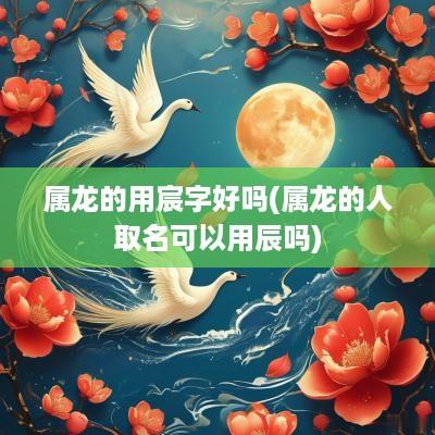 属龙的用宸字好吗(属龙的人取名可以用辰吗)