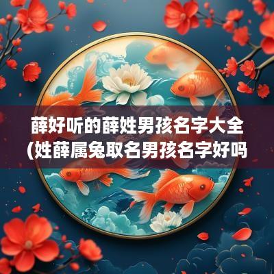 薛好听的薛姓男孩名字大全(姓薛属兔取名男孩名字好吗视频)