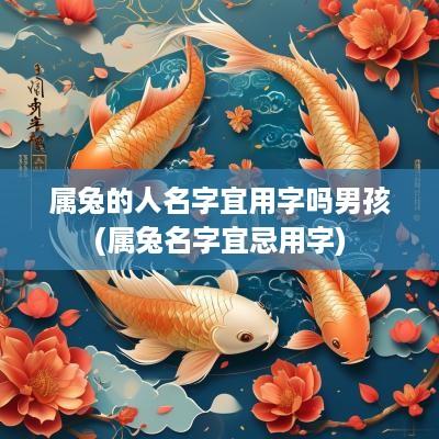 属兔的人名字宜用字吗男孩(属兔名字宜忌用字)