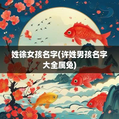 姓徐女孩名字(许姓男孩名字大全属兔)