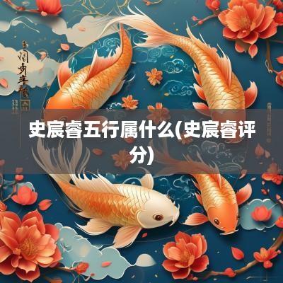 史宸睿五行属什么(史宸睿评分)