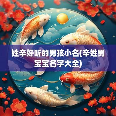 姓辛好听的男孩小名(辛姓男宝宝名字大全)