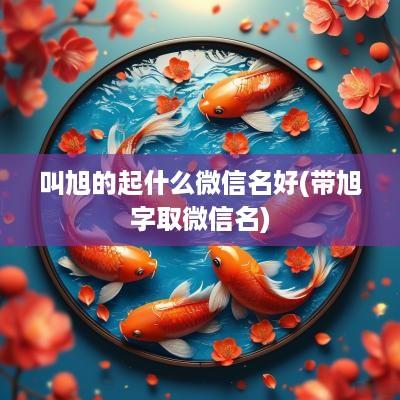 叫旭的起什么微信名好(带旭字取微信名)