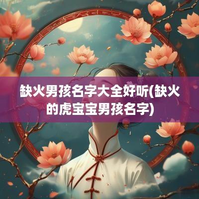 缺火男孩名字大全好听(缺火的虎宝宝男孩名字)