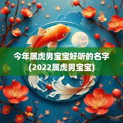 今年属虎男宝宝好听的名字(2025属虎男宝宝)