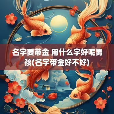 名字要带金 用什么字好呢男孩(名字带金好不好)